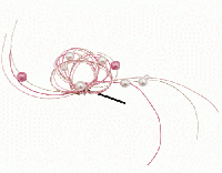 冬の庭園に咲く水引髪飾り和装・成人式・卒業式・お正月に　20251223-17